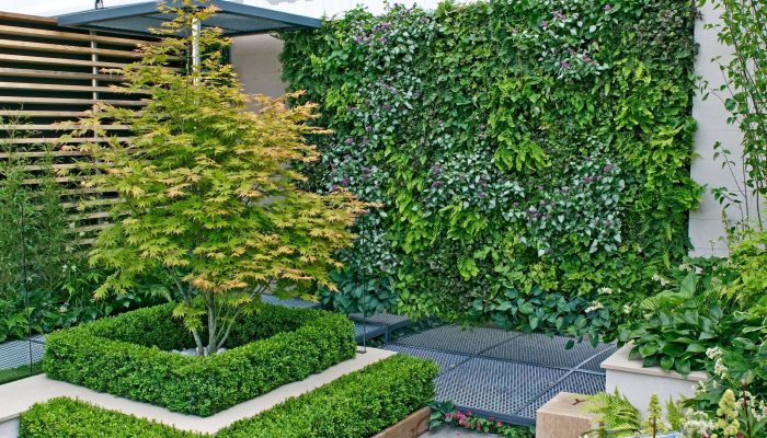 jardin vertical con plantas naturales