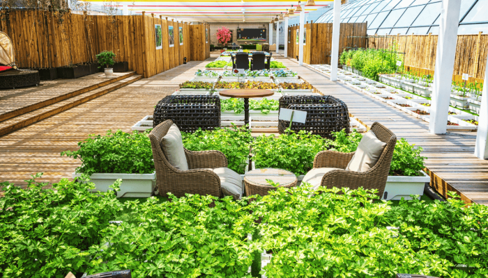 jardin de hotel con plantas naturales y preservadas